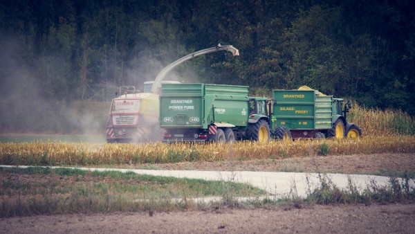 corn-harvest-3710974_1920