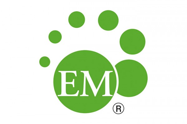 EM-Logo